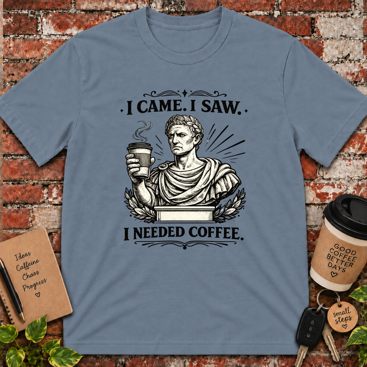 I Came. I Saw. T-Shirt