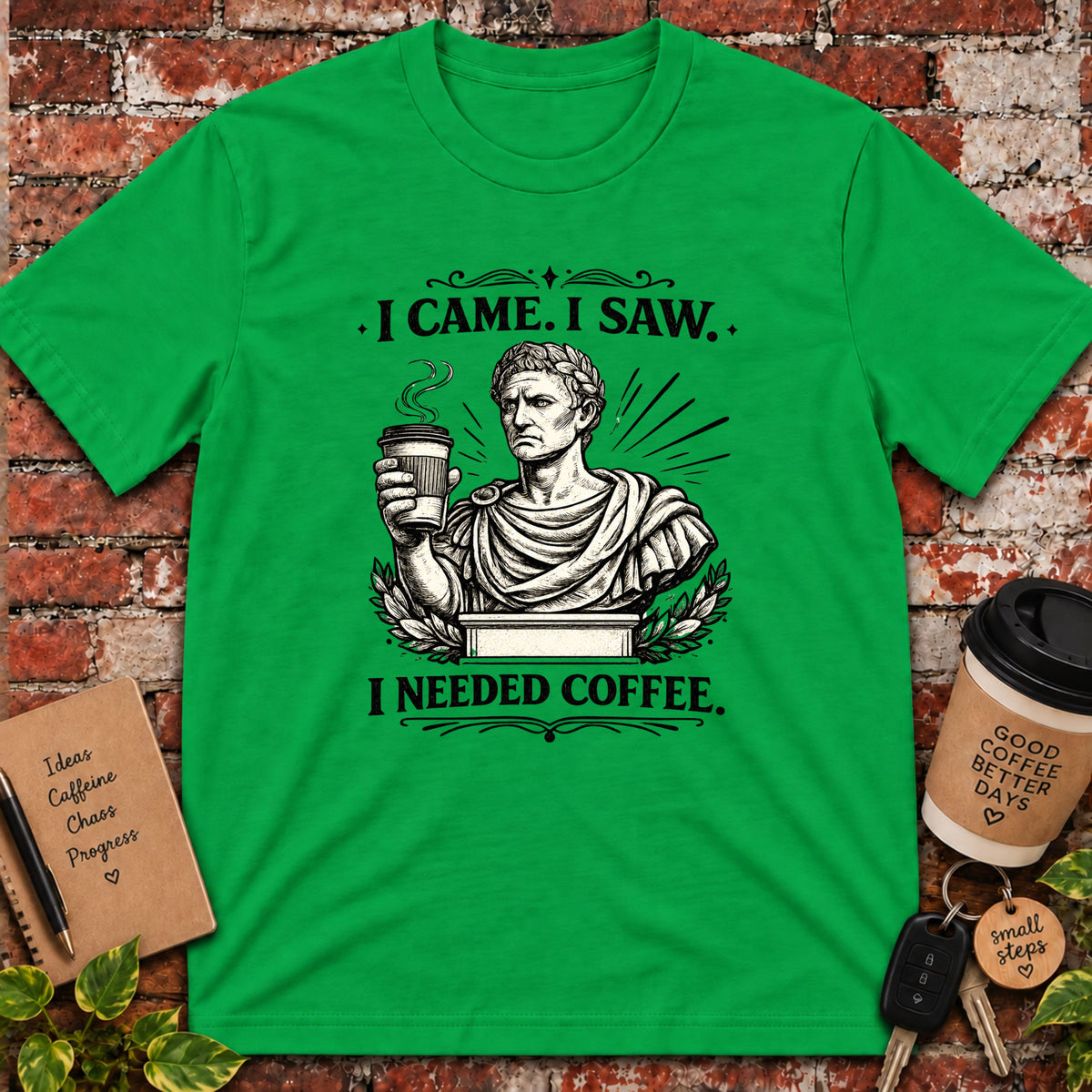 I Came. I Saw. T-Shirt