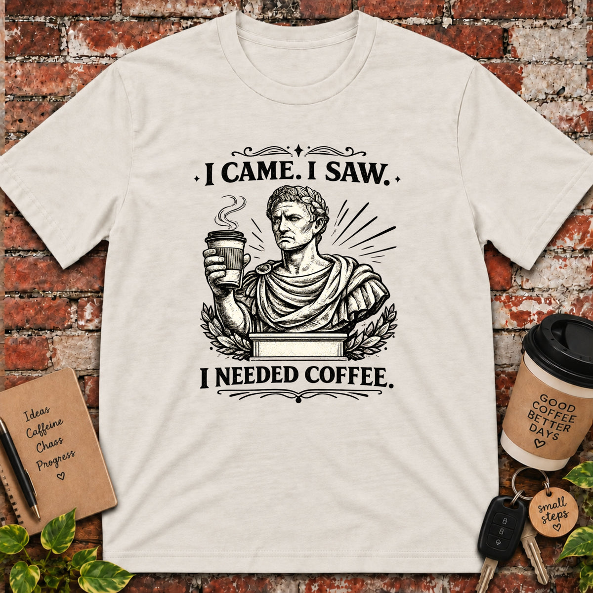 I Came. I Saw. T-Shirt