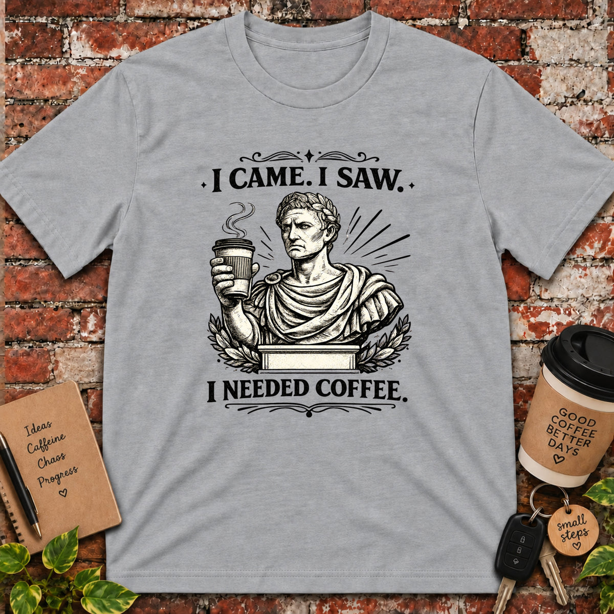 I Came. I Saw. T-Shirt